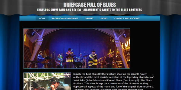 homepage image of Briefcase Full of Blues band