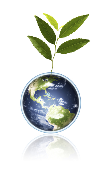 Plant and earth image